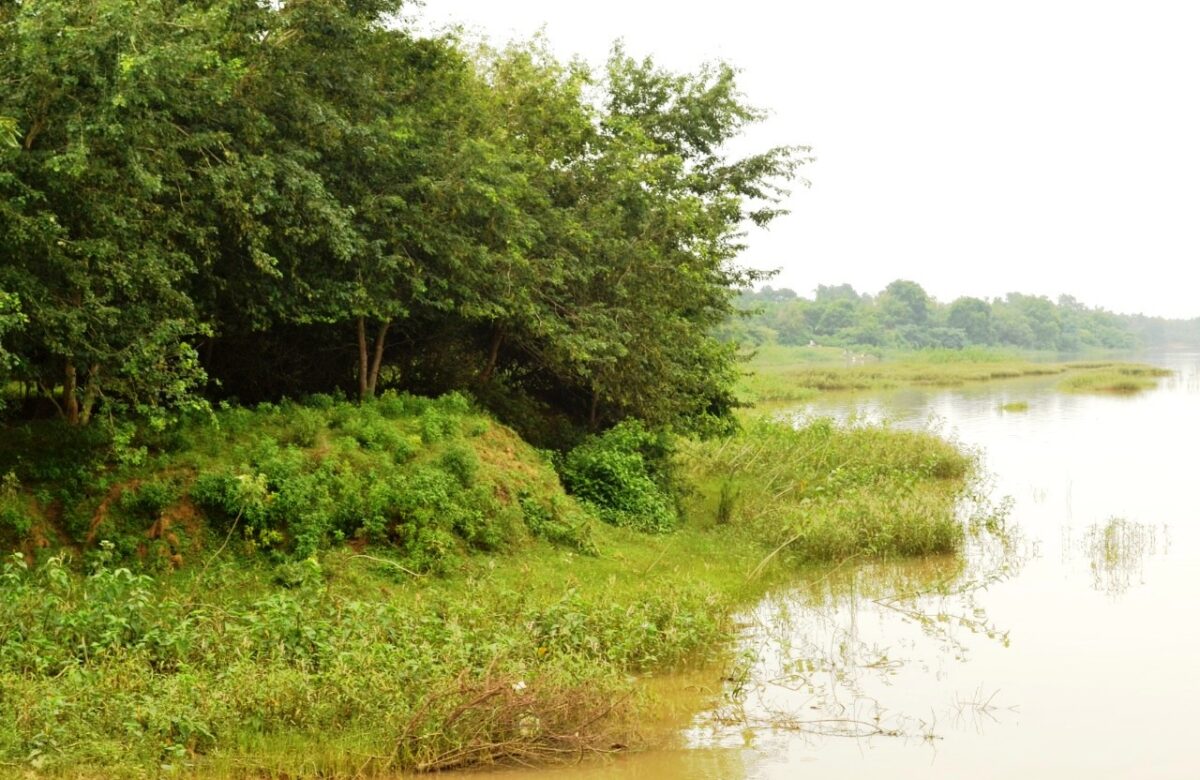 26 नदियों के तट पर लगाए गए 15 लाख से अधिक पौधे