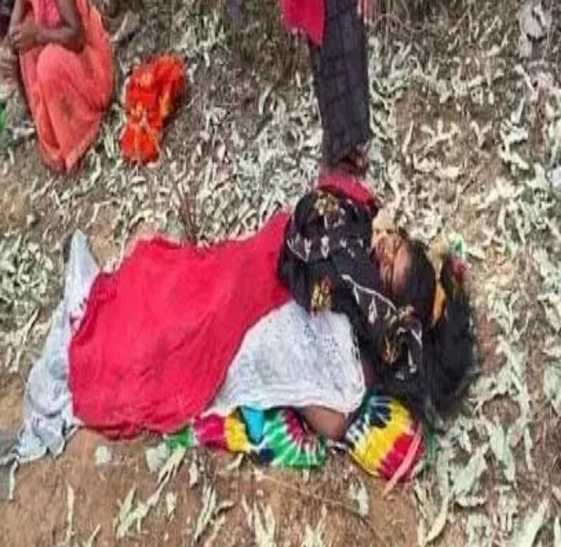लड़की निलगिरी बल्ली छिलका निकालते मशीन में साड़ी फसने से हो गई मौत