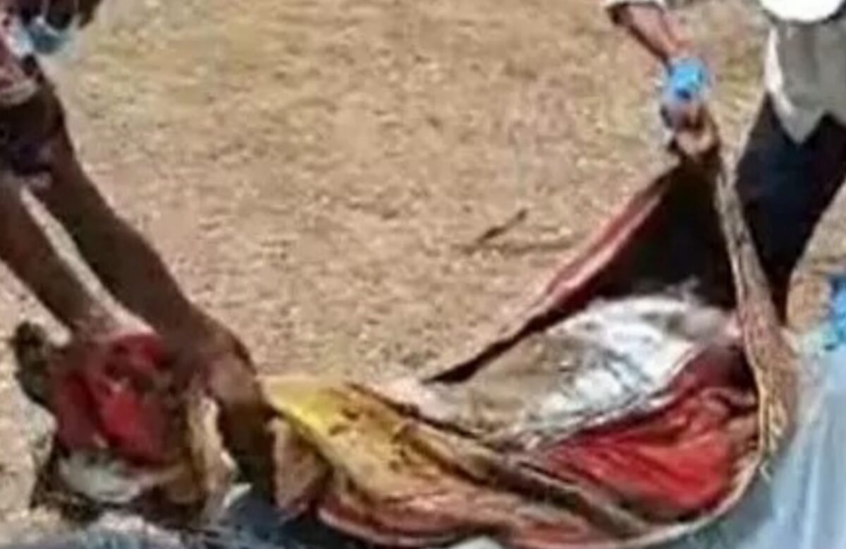 भाई पर लगाया बहन ने पिता का हत्या का आरोप सव को कब्र से खोदकर पोस्टमार्टम कराया