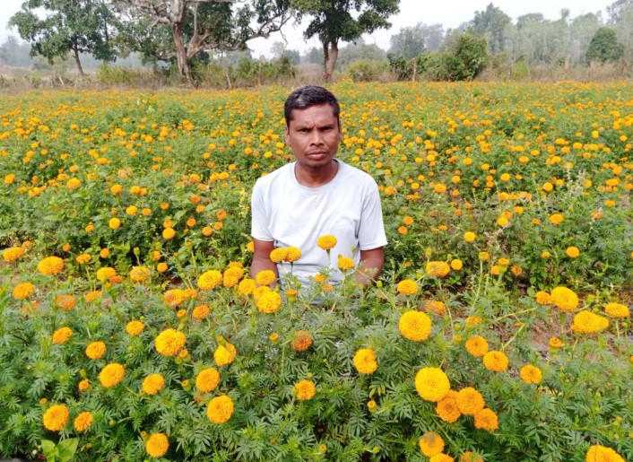गेंदा फुल की खेती ने आदिवासी युवक के जीवन में बिखेरा खुशबू 10 हजार रूपये से किया शुरूआत