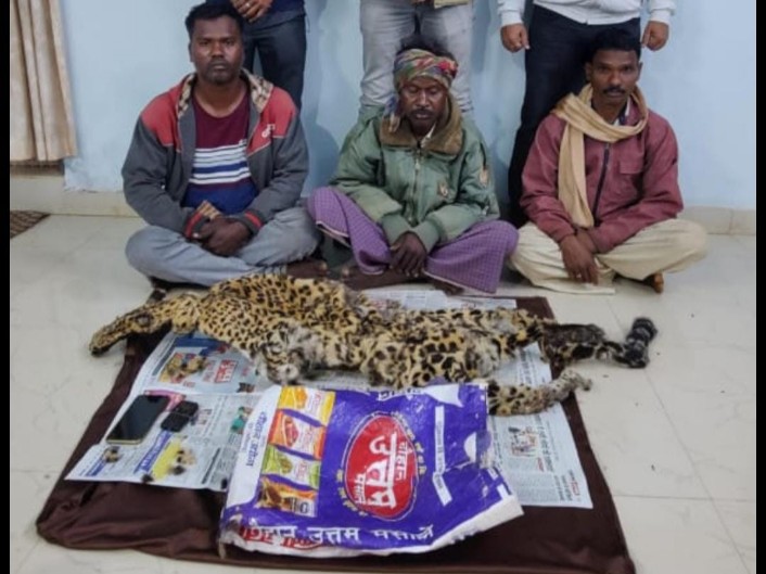 वन्यप्राणी तेंदुआ खाल तस्कर ग्राहक की तलाश में एन्टीपोचिंग टीम, उदंती सीतानदी टाईगर रिजर्व, राज्य स्तरीय उड़न दस्ता टीम ,खैरागढ़ वनमंडल, संयुक्त टीम के द्वारा 3 आरोपी को खाल के साथ दबोचा