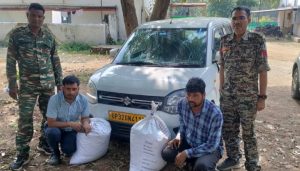 गांजा तस्कर