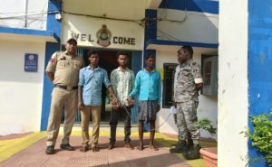 33 नग मवेशी 