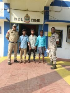 33 नग मवेशी 