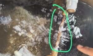 गंदे-पानी-की-आपूर्ति-शासकीय-कॉलेज-बलरामपुर