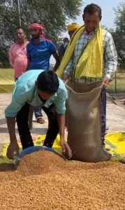 चना