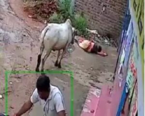 क्षणभर में थमी सांसें
