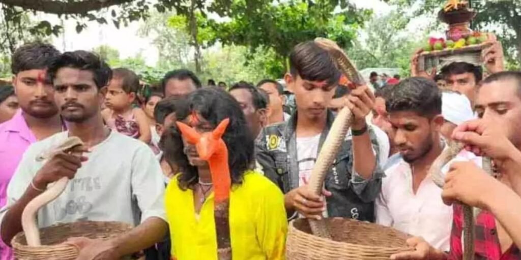 CG: सांपों की शोभयात्रा, यहां के ग्रामीणों ने किया विशेष आयोजन