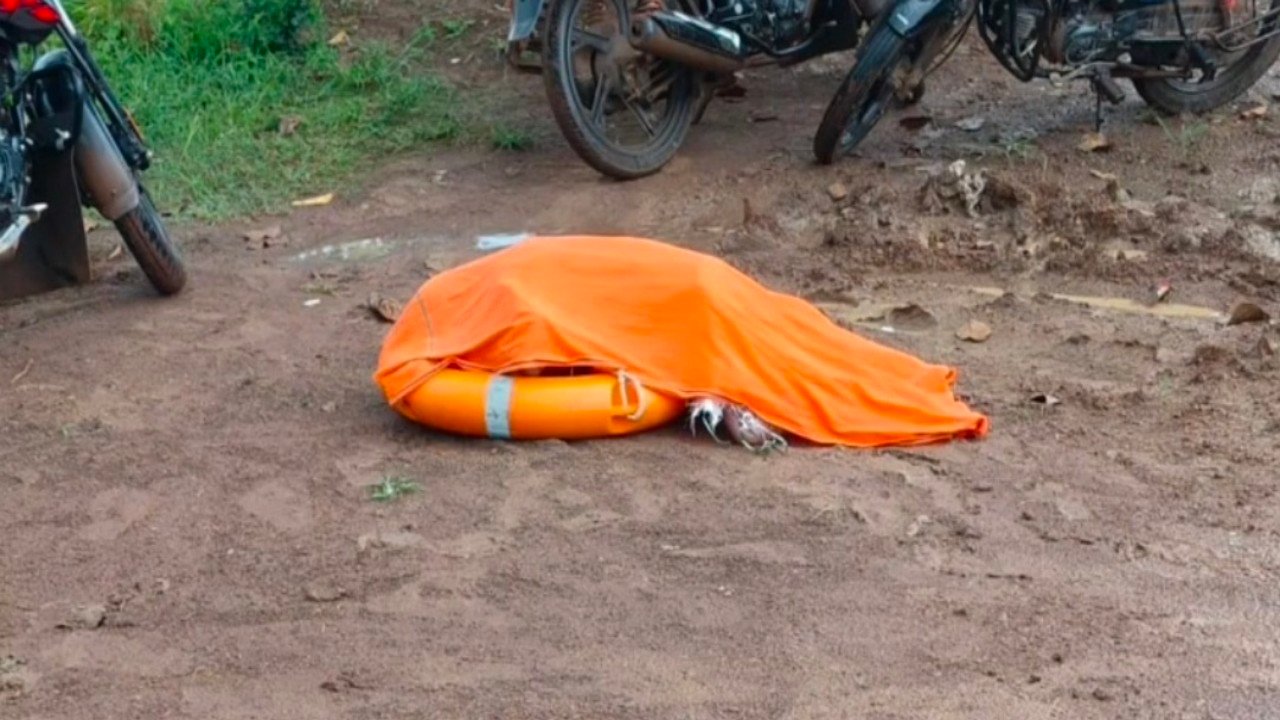 अर्पित