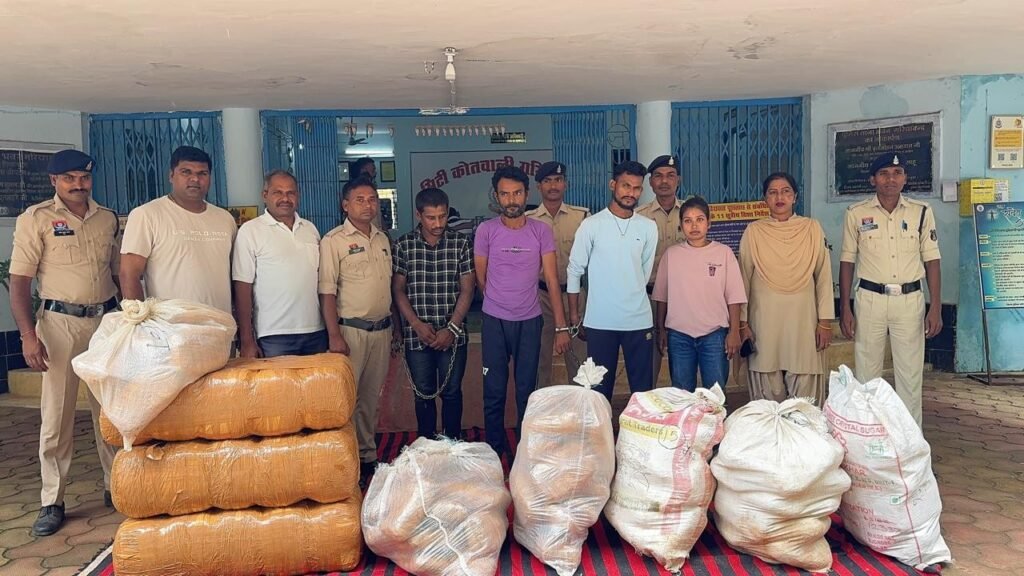 गांजा