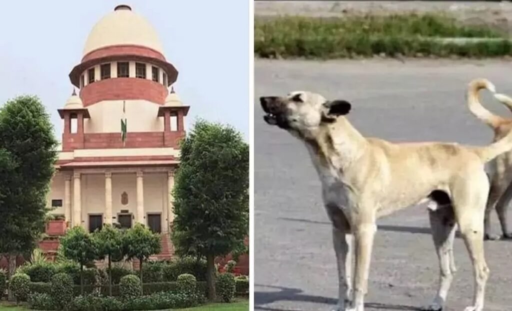 Supreme Court Order: सुप्रीम कोर्ट का बड़ा कदम: आवारा कुत्तों पर लापरवाही के लिए मुख्य सचिवों को तलब Supreme Court Order