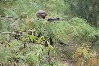 कुपवाड़ा मुठभेड़ में दो आतंकी ढेर, घुसपैठ की बड़ी साजिश नाकाम