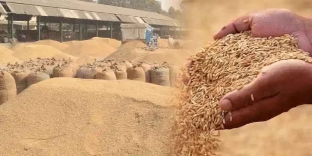 CG Dhan Kharidi Update: 30-31 जनवरी को नहीं होगी धान खरीदी, टोकन धारकों को 29 को ही बेचना होगा धान