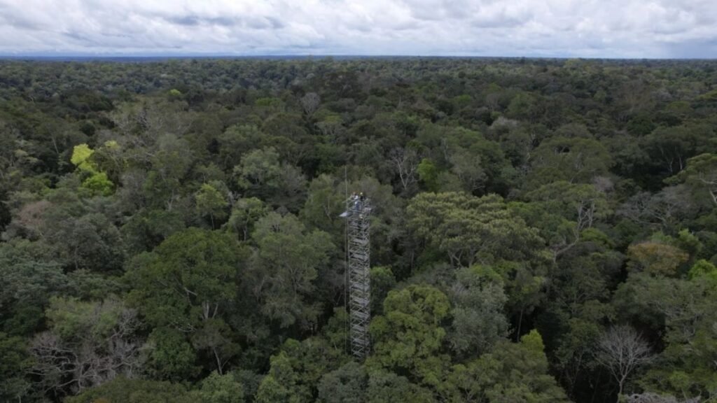 अमेज़न के जंगलों में पहली बार दिखा आदिमानवों का झुंड, प्राकृतिक हथियारों के साथ वीडियो आया सामने; पूरी दुनिया में हड़कंप….