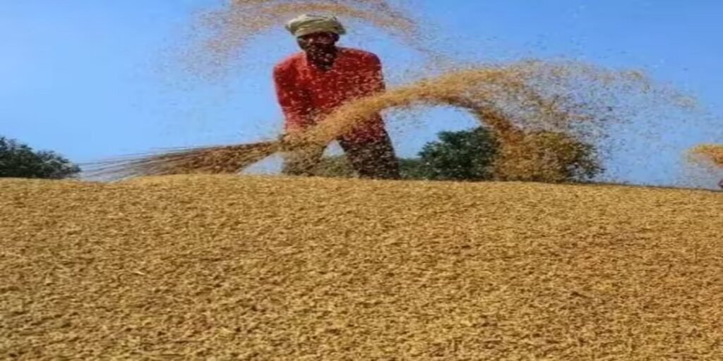 Chhattisgarh Paddy Scam : 17 करोड़ की खेप गायब, केंद्र के प्रभारी पर कड़ी कार्रवाई
