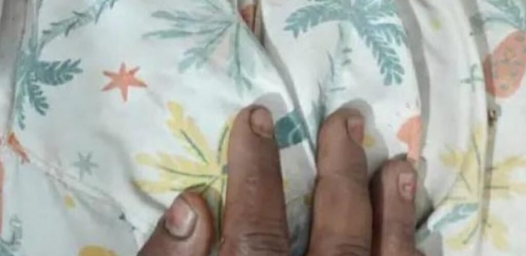 ब्रेकिंग न्यूज तेंदुए का आतंक